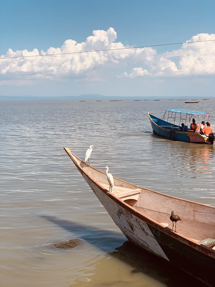 Lake Victoria Expo, Kisumu — Winning BnB & Accommodations